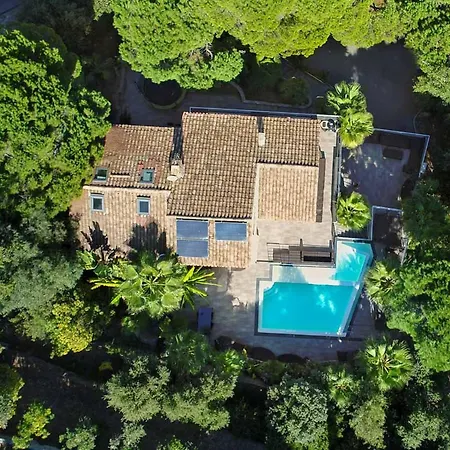 Jungle Villa Sainte-Maxime