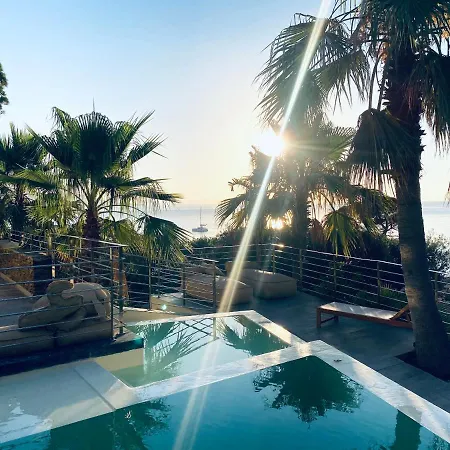 Jungle Sainte-Maxime