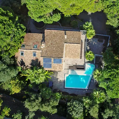Villa Jungle
